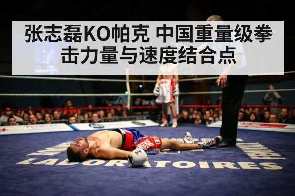 heavyweight boxing knockout