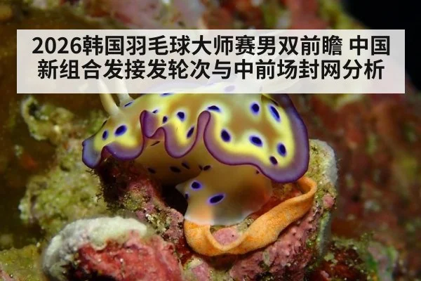 2026韩国羽毛球大师赛男双前瞻 中国新组合发接发轮次与中前场封网分析